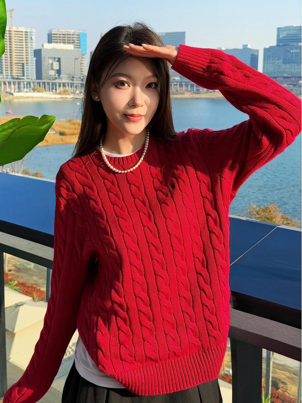 【绒绒暖阳】韩版慵懒宽松长袖针织衫女圆领秋冬刺绣编织麻花毛衣|undefined