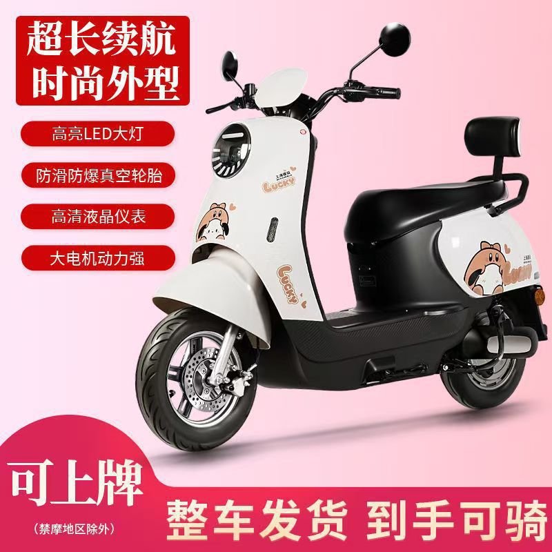 Xiao Gui – Electric Scooter, Auto Parts and Accessories - 1200w-48v26a-black-gold-lead-acid-battery