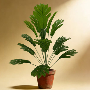 �羳����Gֲ18�^24�^�����~���������҃ȼҾ��b٘����Ԕ[��