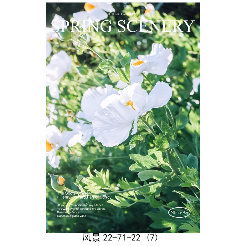 3 / 13*18cm (toile seulement)
