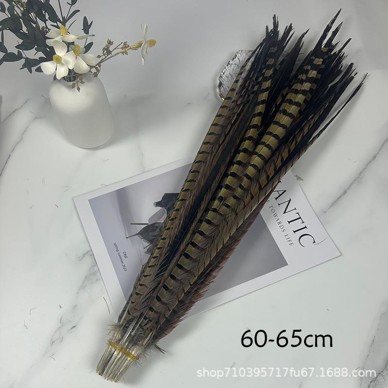 Fábrica al por mayor pelo de faisán 10-90cm cola de faisán pluma de bricolaje danza plumas de faisán cola de gallina palo de gato divertido image 20