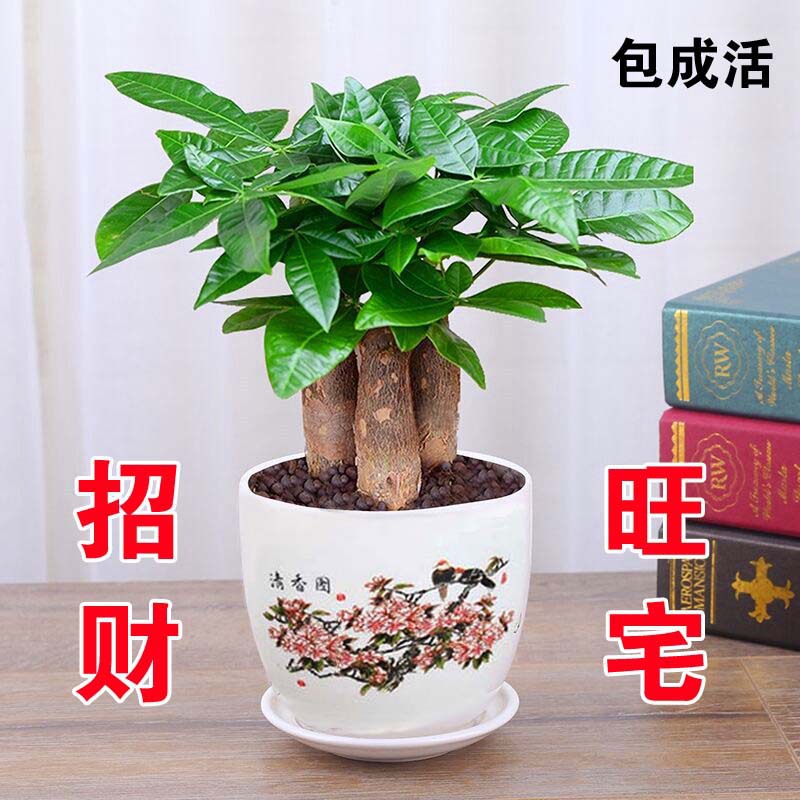 商品图