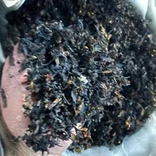 1000�����lɢ�b��Ʒ����  ���},˓,�����,����,������  ����