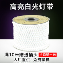 灯带led灯带客厅家用超亮光带七彩变色灯条户外防水180珠线灯220v