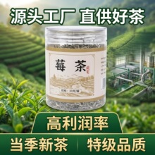 莓茶20g罐正宗张家界藤茶牙尖新茶龙须芽尖泡水喝养生茶抖音同款