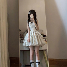 ��1.3�f���ղء���ʽ�����WԺ�L������Ů���c����ȹС�����ļ���