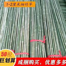 竹竿菜园搭架竹子户外旗杆黄瓜豆角爬藤菜架竹杆支架豇豆搭架杆