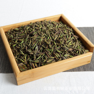 ���l 2025�� �紺��Ұ��ѿ�� ��ϾG�� 500��ɢ��