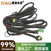 ͨ��H11�F��׃�⾀�M�^�����Ħ�����܇�����w�Ȍ����F�����L��