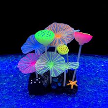 �~�׼�ˮ�ݲ�ɫ���~Ģ�������P���z���|ˮ�����b��쾰����