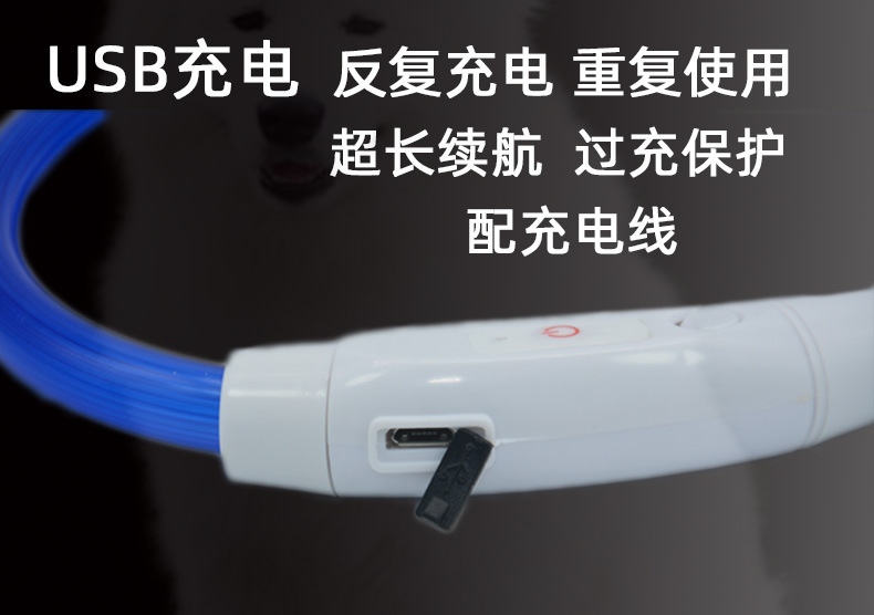 宠物发光圈