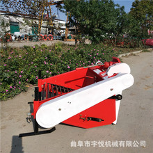 ���üt���ի@�C  ��݆܇�����ռt��C �ٵع��ڼt���O��