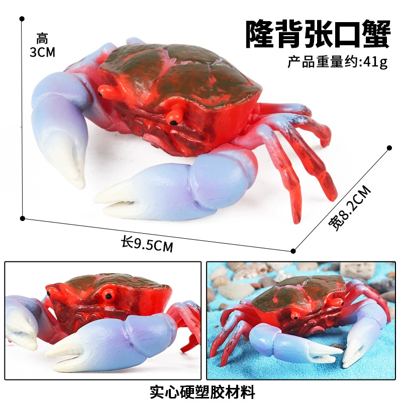 Модель crab/crab king crab трехточечная, имитация реальной жизни морского животного, открытая спина, искусственный рот, детские познавательные игрушки-украшения