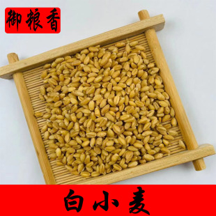 ɫ�x���x24�꣬25�꣬�������l25������bܛ�|�ͽ��С����С��