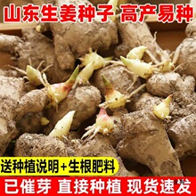 �����N�ӽ��N��ѿɽ�|�󽪷N�������Nֲ���Ͻ��ӽ�ѿ��С�S��5��