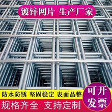 热镀锌铁丝网片建筑网格加粗狗笼子养殖隔离防护网电焊钢丝围栏