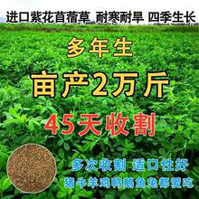 �ϻ���ޣ�ݷN�Ӷ������ļ����ݷN�����r��ޣ�N���ͺ��m���Ϸ�����