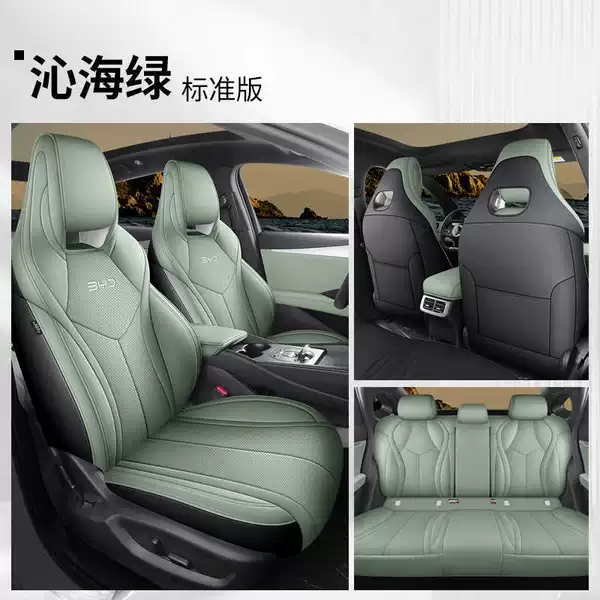 Qinhai Green Standard Edition [Rear row full inclusive]