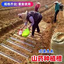 ��ɽ�Nֲ��u�͜\���F��ɽș�������������ܼӺ��бP��ɽ��������v