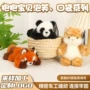 抱抱宝贝生日安抚系列布娃娃
