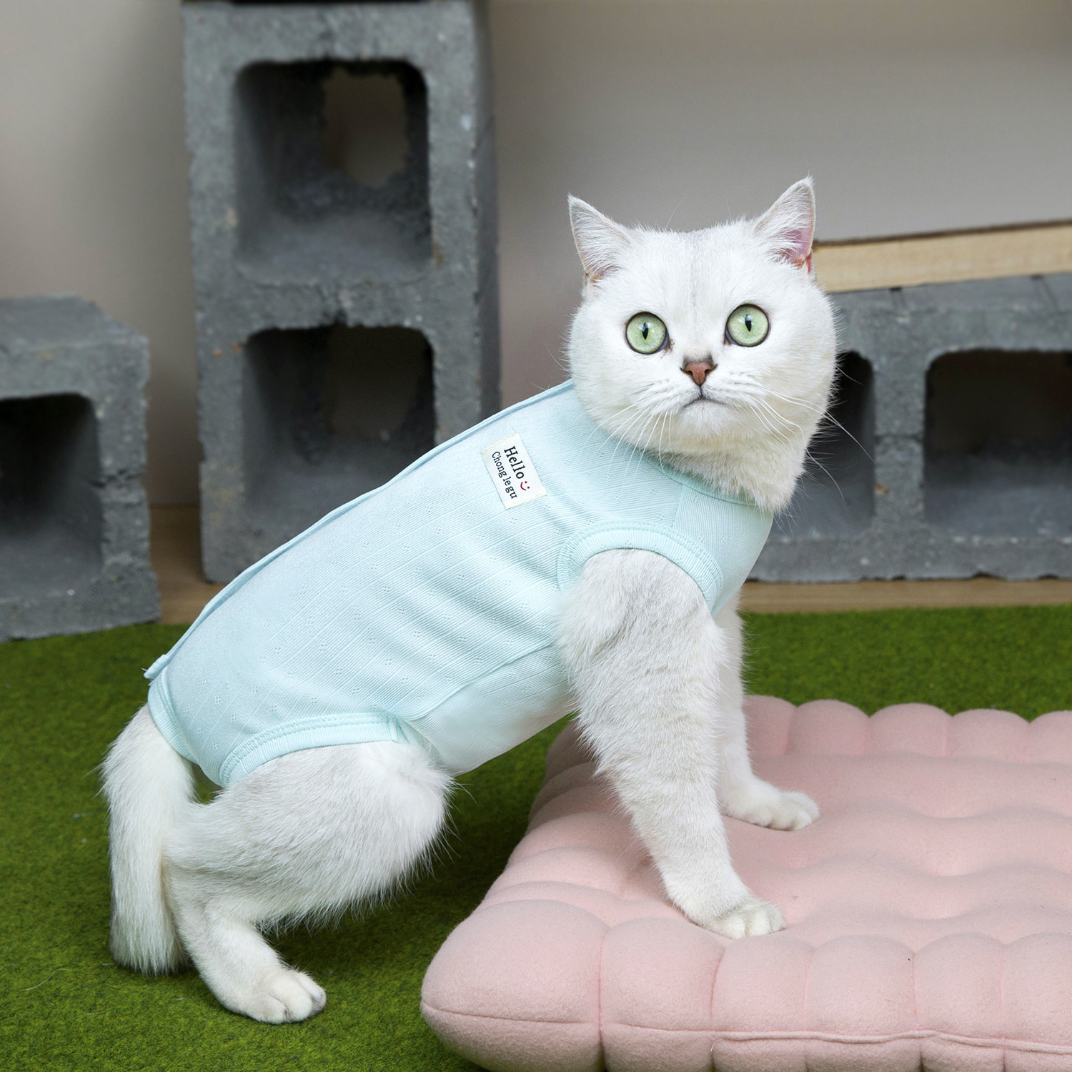 Cat sterilization clothing female cat surgical clothing breathable…