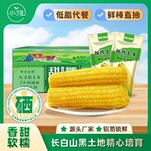 �͑��ή����|�������SŴ�����X�����b���15��������i�r