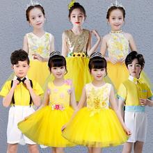 六一儿童合唱演出服公主蓬蓬纱裙幼儿园学生表演男女童朗诵舞蹈服