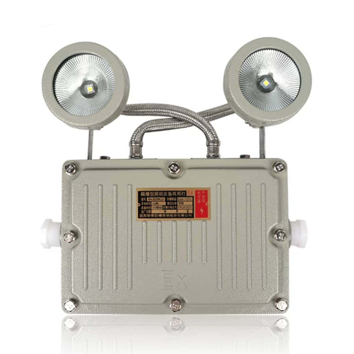 沈阳华荣防爆安全出口双头应急照明灯BYY二合一疏散指示灯BAJ52