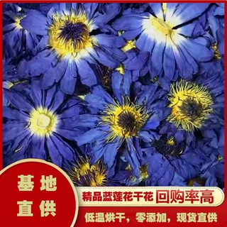 2026蓝莲花干花   睡莲干花  九品香水莲蓝色干花 冻干蓝莲花