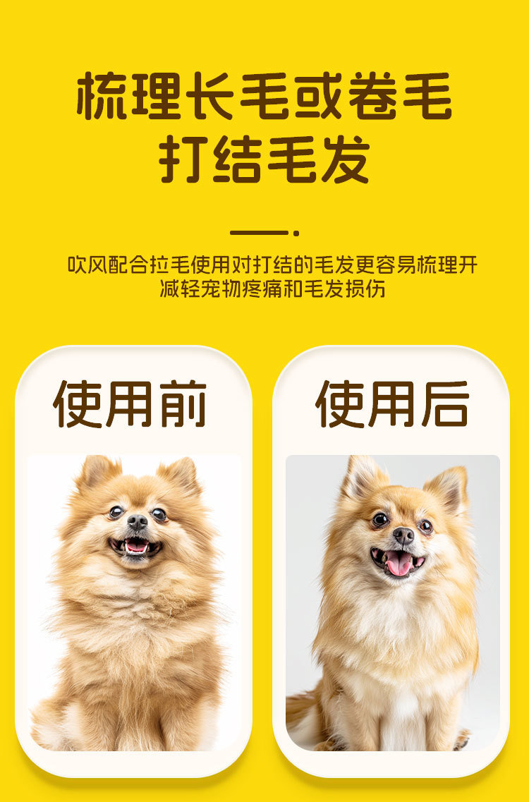 fa6c6404-75aa-444f-8333-1f38c21c3a06.jpe