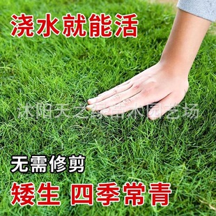 ��ƺ�����ļ������o�¹������R������̺����ͥԺ�G��������Ƥ�N��