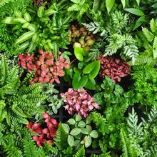 ާ�ֲ��W�y�ݽM��DIY΢���^����ˮ�쾰�҃�ˮ��С���F��ާ�Gֲ