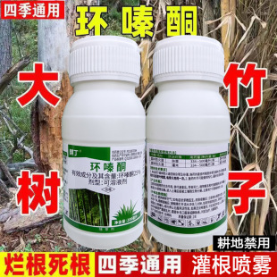 �h�ͪ�~���ݠ�������ľ�hຆL�������ӭhຆLˮ���������ó��݄�