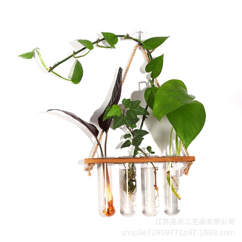 挂壁式1层4孔套装水培翻口玻璃试管架圆底试管插花灯管装饰品支撑