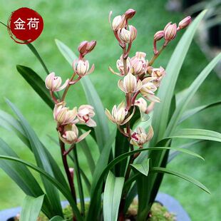 �������m���罨�m�ļ��m����������҃ȿ͏d�m�����ԾGֲ�����_��