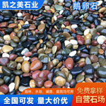 天然抛光鹅卵石河卵石河滩石园林造景绿化工程专用河卵石彩色石头