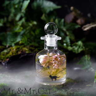 Simple Floating Empty Bottle Fire-Free Flat 100ml Aromatherapy Bottle Rattan Volatile Glass Bottle Aromatherapy Bottle Aromatherapy Bottle