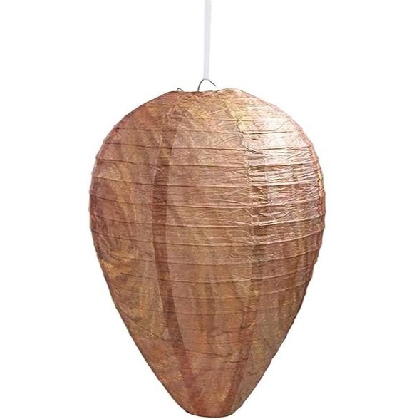 종이 색상 번호 66.6cm 인치 22x28cm