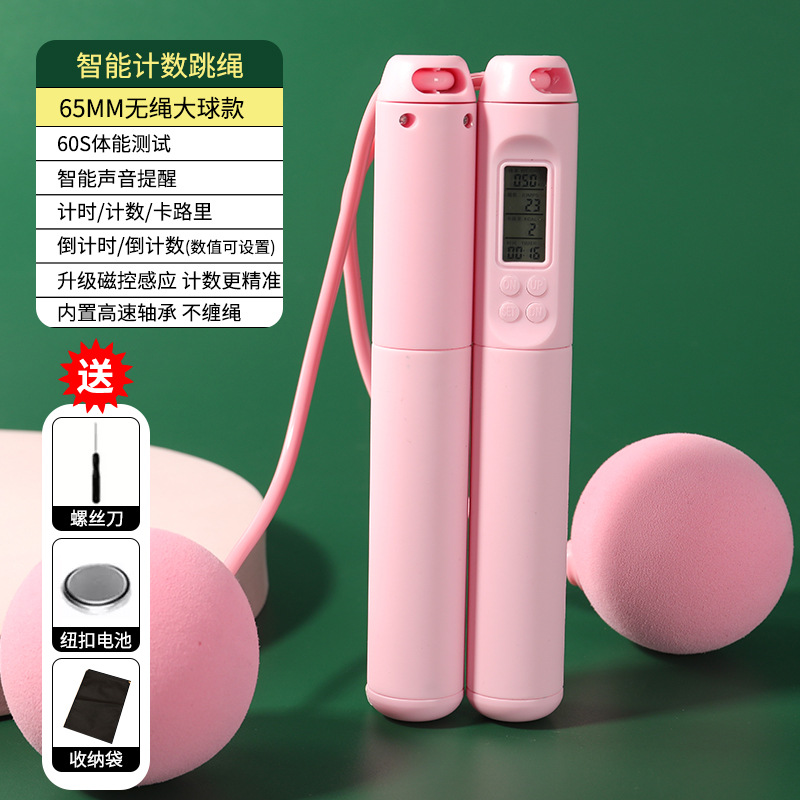 핑크 큰 공