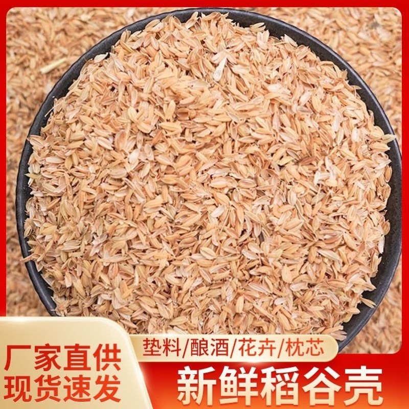 新鲜稻谷壳粗糠壳谷子壳稻糠壳动物宠物垫料保健枕头防震填充酿酒|undefined