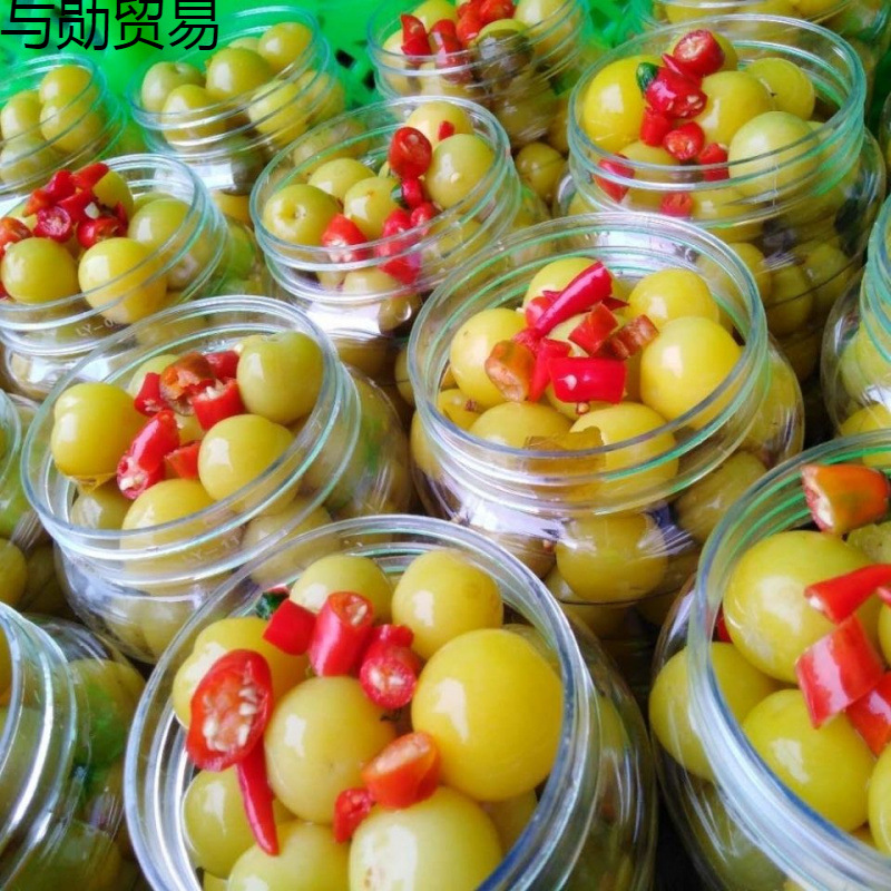 广西酸嘢产腌制青李子三华李水果酸甜脆爽新鲜脱骨酸辣李子