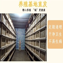 ����ͻ��w΁ţ�Bֳ�̌W��ʳ���ײͻ������w�µ��^�p����΁ţ����
