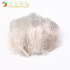 Manufacturers supply a large amount of silver -picnia feathers color stage to decorate loose feathers wholesale