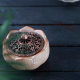 Incense burner tea ceremony home simple line incense holder indoor Lotus ceramic sandalwood incense burner Zen worship incense burner