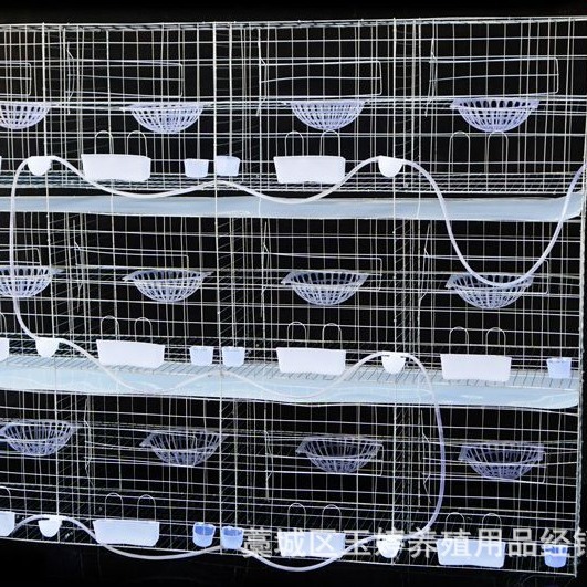优惠鸽笼  鸽笼配件   鸽笼结实好用 镀锌鸽笼12位鸽笼可加工生产