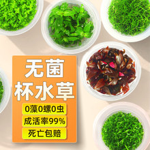 ˮ���~�׌���ֲ�����ˮ�|������������������������şo����ˮ��