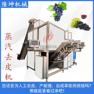 全自动葡萄蒸汽去皮机 柿子纯物理烫皮机 罐头加工流水线去皮设备