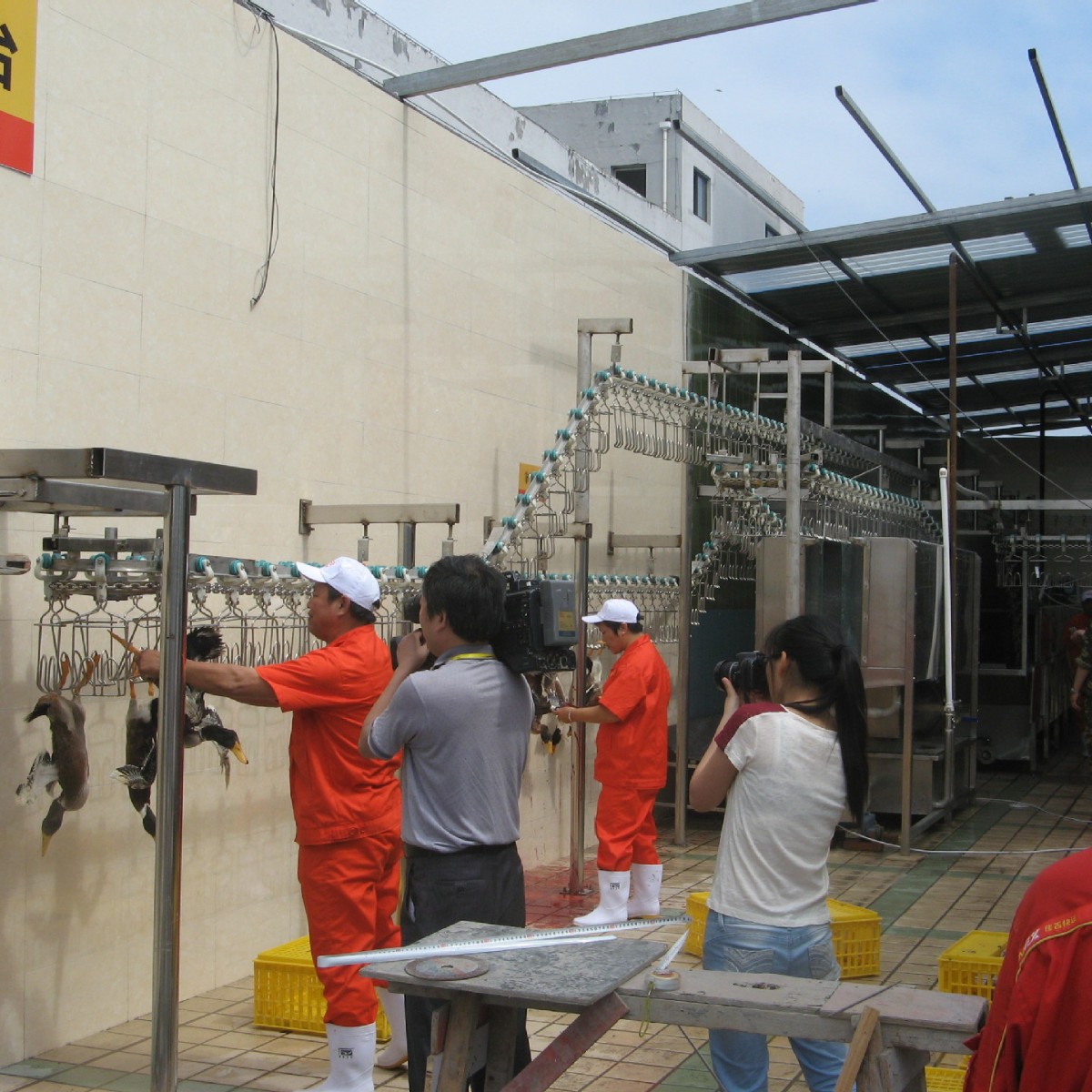 供应鸡鸭鹅屠宰生产线  家禽宰杀流水线及配件 提供设计安装服务