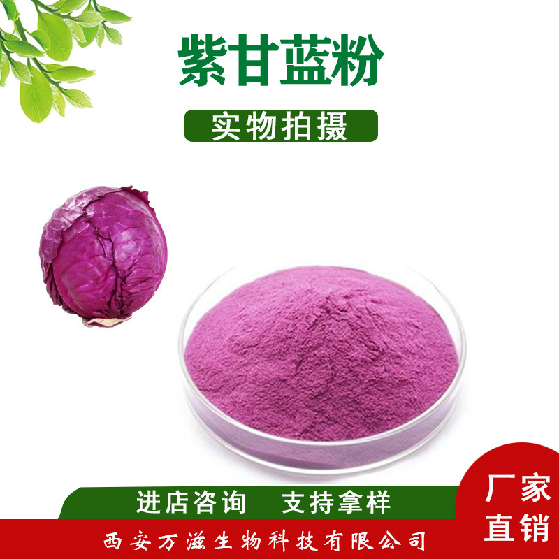 紫甘蓝粉  紫甘蓝生粉 紫甘蓝提取物 脱水果蔬粉现货批发供应