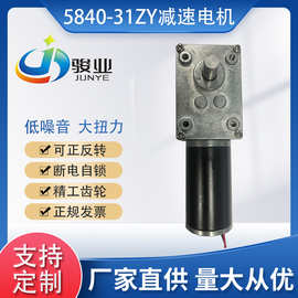 厂家微型电机减速马达扭蛋机娃娃机5840-31ZY直流减速电机